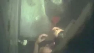 Pieptoase femeie grasă în turcă scena nebun filmulețe sexi masturbari