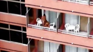 Compilatie de clipuri video Cu Sperma Pe Fata Sex limbi in cur la barbati Oral